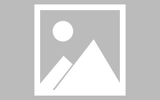 临沧新区景区网站建设（in art criticism,you must assume）